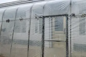 东北太冷了，房屋前都扣这种棚子。有阳光的时候特别暖和。