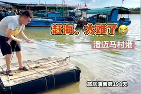 旅居海南198天，澄迈马村港赶海太难了，为什么别人一赶一个准视频封面