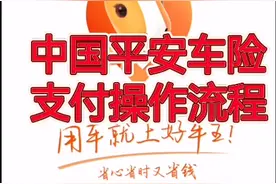 中国平安车险支付操作流程视频封面