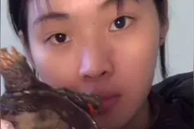 00后女孩第一次吃甲鱼口感还能接受麻辣甲鱼 哈哈 谁敢吃这个？视频封面