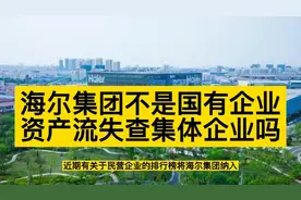 世界五百强企业海尔集团非国企也存在资产流失问题？视频封面