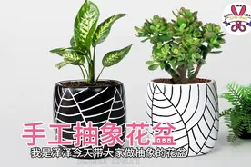 几毛钱成本，手工diy制作抽象花盆，动手能力不强的也可以试试视频封面