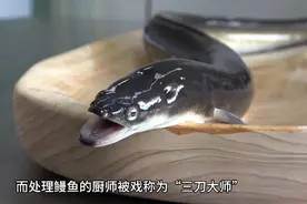 一家鳗鱼餐厅，现捞现宰，人称三刀大师，专门用镊子挑出鱼刺