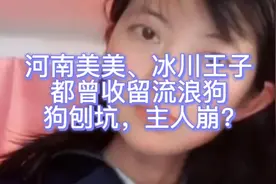 狗刨坑，主人崩?视频封面