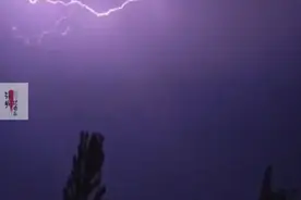 《天国的女儿》由西妮德•奥康纳（爱尔兰）创作演唱