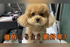 白天叫不醒的初一，快看看烜爸的洗澡技术真的有比我强嘛？哈哈哈视频封面