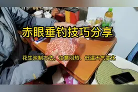 赤眼垂钓技巧分享，花生泡制方法。低温和闷热天气变化需要调整