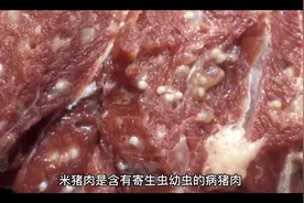 什么是米猪肉？