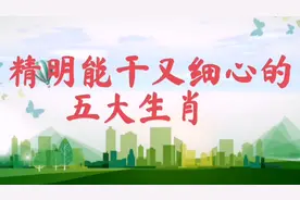 精明能干又细心的五大生肖