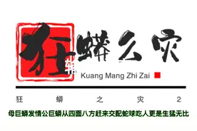#公巨蟒从四面八方赶来和母巨蟒交配形成蛇球它们能感应到发热体视频封面