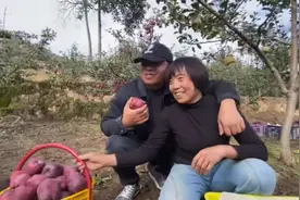 海哥量地球团队助农完毕！蒋大哥带着小蒋去果园……@海哥量地球视频封面