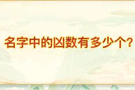 名字中的凶数有多少个