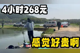 自驾到武汉洪山，这里的垂钓园4小时268元，竟比天津济南的都贵啊视频封面