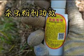 【杀虫粉剂】功效