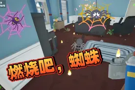 如何消灭蜘蛛，蜘蛛恐惧症，燃烧吧蜘蛛！视频封面
