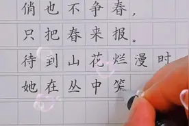 硬笔楷书规范字书写古诗文《卜算子.咏梅》