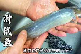 塘鲺鱼怎么做才不腥？教你广东特色做法，滑嫩入味没有土腥味