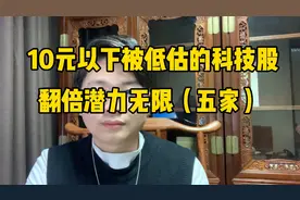 十元以下被低估的科技股，未来机会多多视频封面