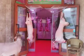 乌鲁木齐市南郊胜利路：新鲜羊肉每公斤68元视频封面