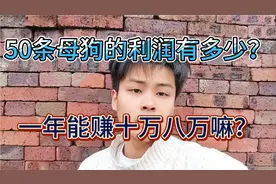 50条母狗纯利润是多少？一年能赚十万八万吗？视频封面