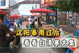 沈阳白清寨大集，每逢369有集市，规模不如祝家集，出摊人不多视频封面