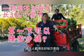 一颗椰子树每年长300个椰子，种一千颗赚一百万了