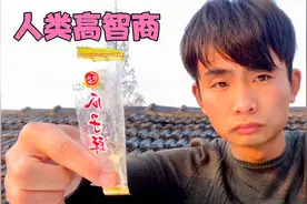 人类高智商 一袋瓜子酥倒着吃