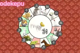 十二生肖，快来看看 你的生肖和另一半的生肖是否正确视频封面