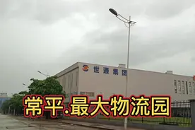 实拍东莞市常平最大物流园，一年四季都在招聘临时工视频封面