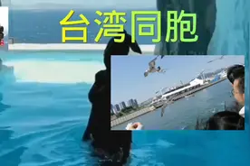 歌唱巜台湾同胞》视频封面