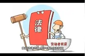 拿起法律武器，维护自己的合法权益视频封面