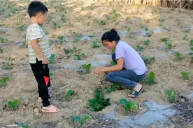 彝族美女嫁给汉族小伙，才二十几岁丈夫就去世了，带着孩子和老人