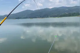 湖南十大水库之一的皂市水库钓鱼，收获的翘嘴和鲤鱼最多