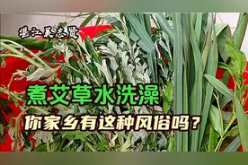 端午节，湛江农民买艾叶这样煮水洗浴，你家乡有这种风俗吗？