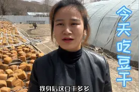 今天教大家做东北咸豆干，两块儿能整三个菜，真是下饭下酒又下菜