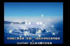汇算清缴（年报） 减免所得税优惠明细表A107040极简填报说明视频封面