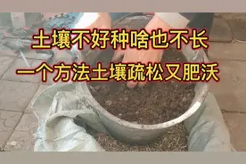 土壤不好种啥也不长，一个简单不花钱的方法，土壤疏松又肥沃视频封面