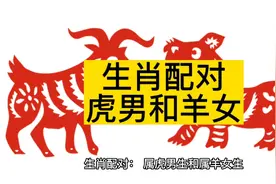 生肖配对，属虎男和属羊女视频封面