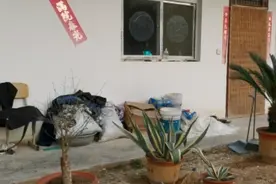 逮鱼后续来啦视频封面