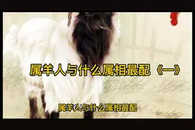 属羊人与什么属相最配《一》