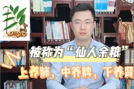 被称为“仙人余粮”，上养肺，中养脾，下养肾，滋补良药黄精视频封面