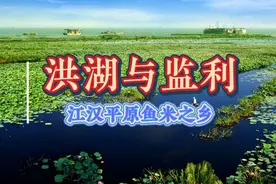 江汉平原鱼米之乡洪湖和监利，为何发展得不尽人意？未来前景如何