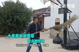 小老弟爸爸冬瓜地锄草，草丛冒出一条红花蛇，吓的老爸直冒汗视频封面