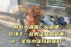 @所有圣母小泽玛利亚们！你们天天骂我对狗不好，请问：良心痛吗