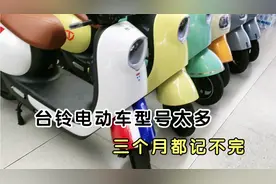 来台铃店上班快3个月了，几十种型号只认识一半不到，来一起看看