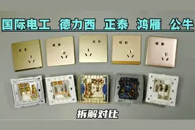 国际电工，德力西，正泰，鸿雁，公牛五款插座拆解对比视频封面