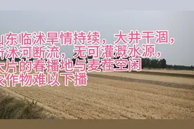赤日炎炎似火烧，野田禾稻半枯焦。山东临沭大旱严重视频封面