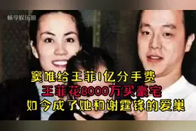 王菲花8000万买豪宅，却成为她和谢霆锋的爱巢。窦唯落魄了视频封面