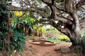 南宋末代皇帝从海上逃到硵洲岛，至今遗迹保留。视频封面