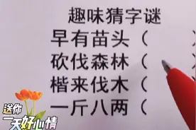 趣味猜字谜，早有苗头，砍伐森林，一斤八两，各打一字，挑战一下